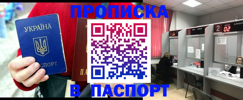 прописка 2025 в Пионерском